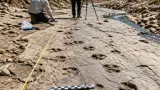 INAH confirma 50 huellas de dinosaurio en Apatzingán, Michoacán
